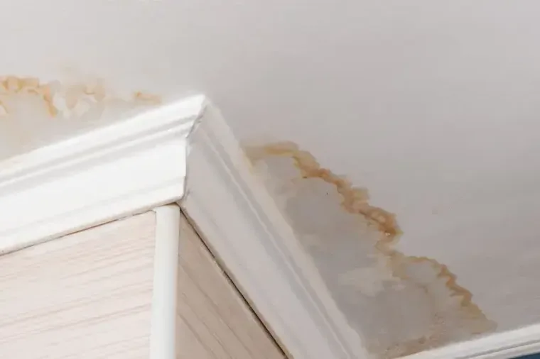 Water stain spreading across a ceiling above the crown molding